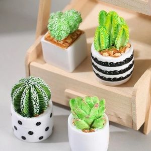 Cactus Succulent 4 Piece Mini Figurine Set